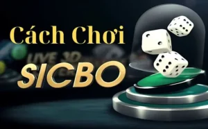 Cách chơi tài xỉu sicbo trên bet69